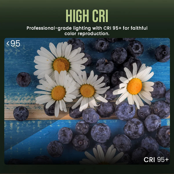 150FP COB Light – 150W | 3200K–6500K Color, CRI 95+, Bowens Mount, 180° Rotatable, Advanced Coolin
