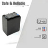 Foton Power NP-FV100 6500mAh Digital Li-ion Battery for Sony DCR Series Camcorders